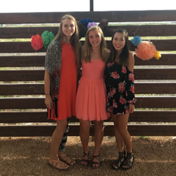 Meet your Posher, Lily - Picture 1 of 1